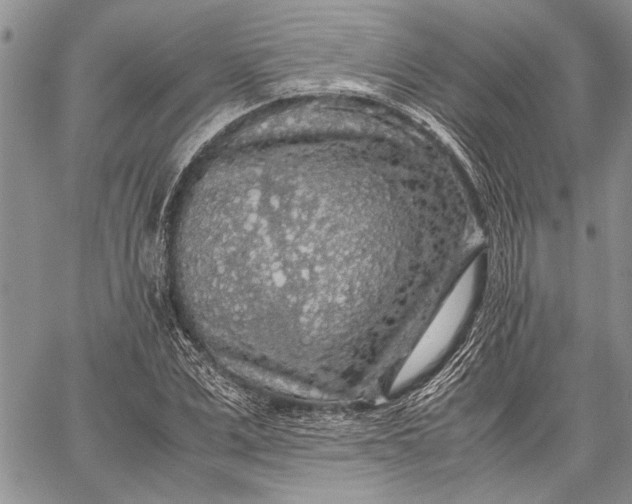 X0000062650975200601040913