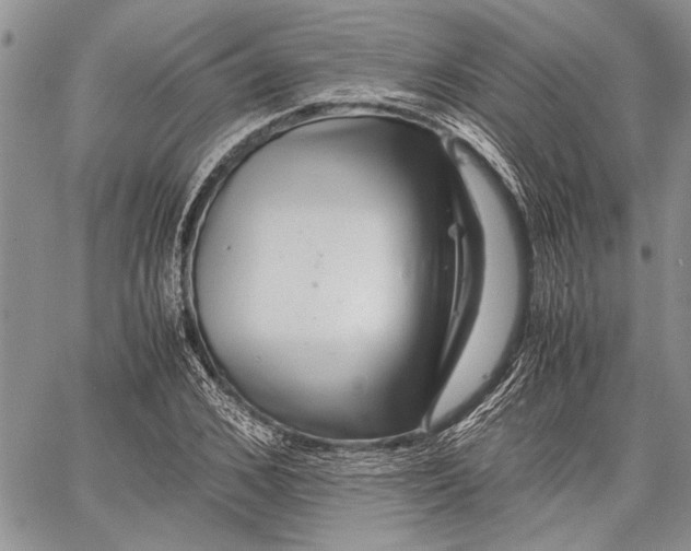 X0000062650976200601040913