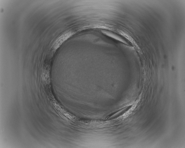 X0000062650977200601040913