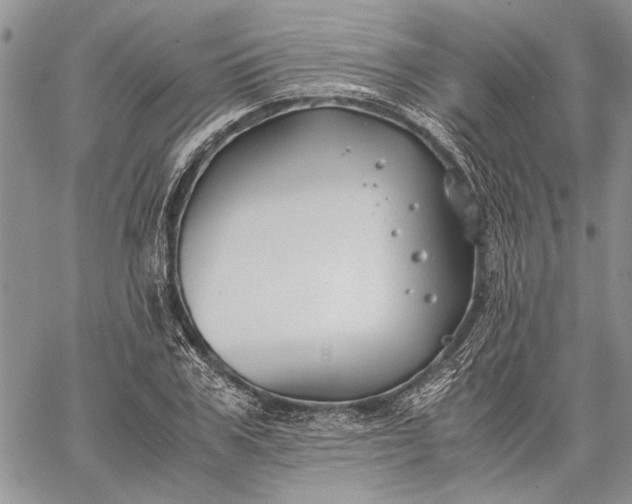 X0000062650979200601040913