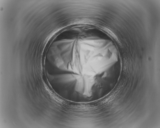 X0000062650980200601040913