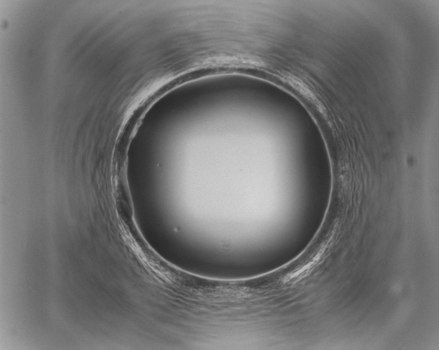 X0000062650981200601040913