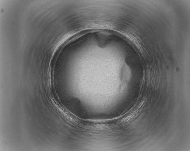 X0000062650982200601040913