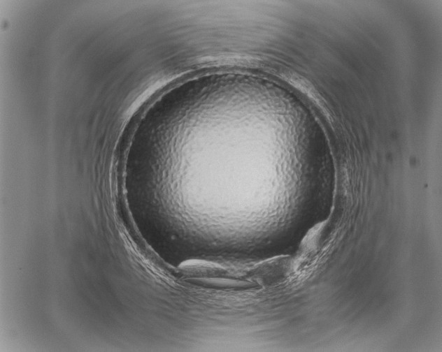 X0000062650983200601040913