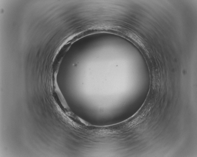 X0000062650984200601040913