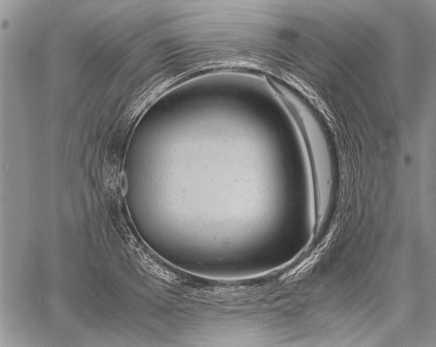 X0000062650985200601040913