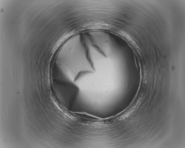 X0000062650986200601040913