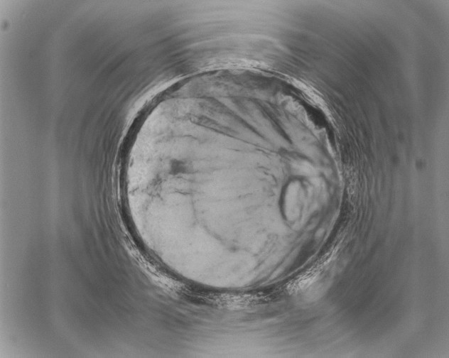 X0000062650987200601040913