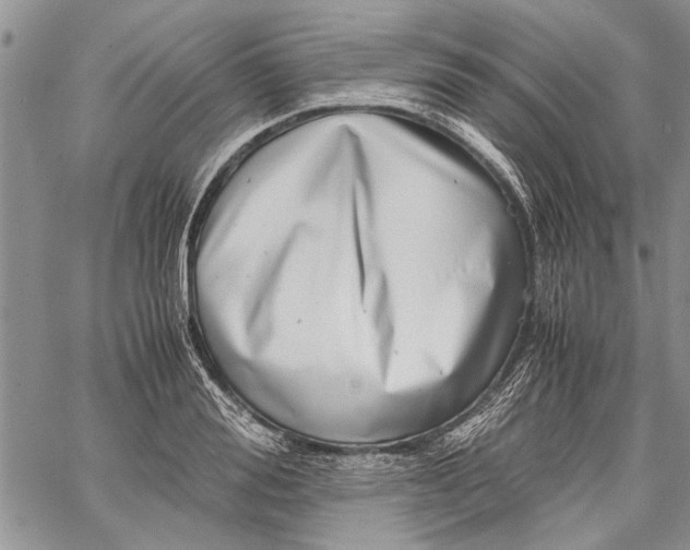 X0000062650988200601040913