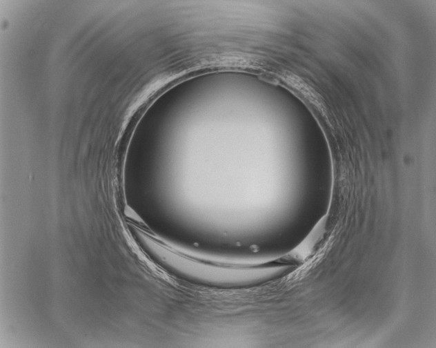 X0000062650989200601040913