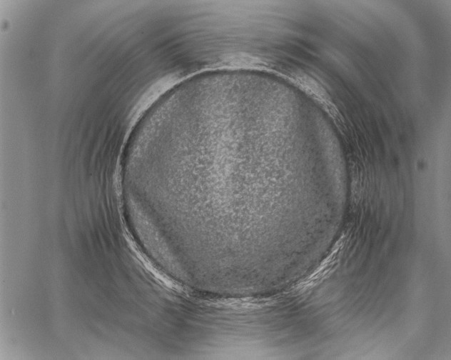 X0000062650990200601040913