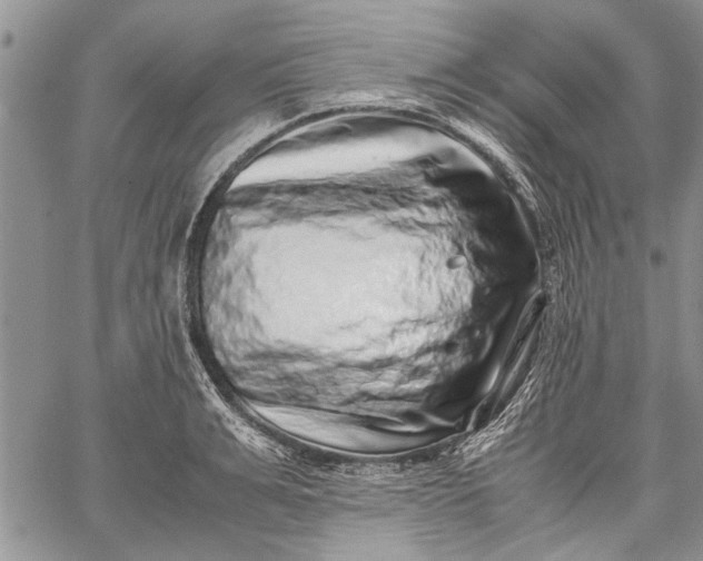 X0000062650991200601040913