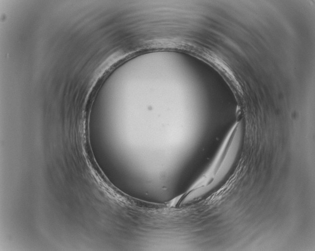 X0000062650992200601040913