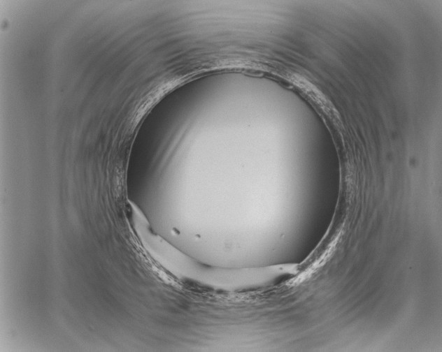 X0000062650993200601040913