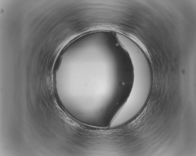 X0000062650996200601040913