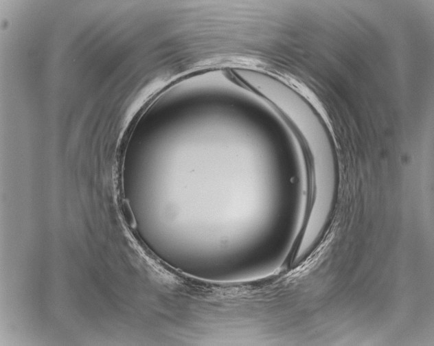 X0000062650997200601040913