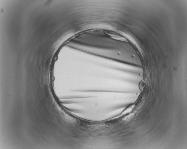 X0000062650999200601040913