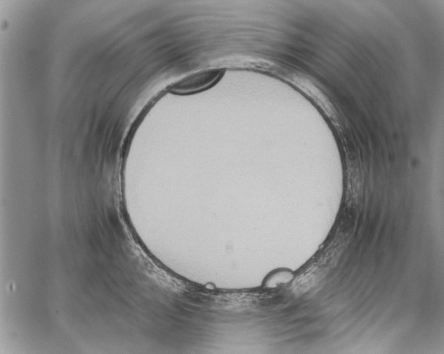 X0000062651000200601040913