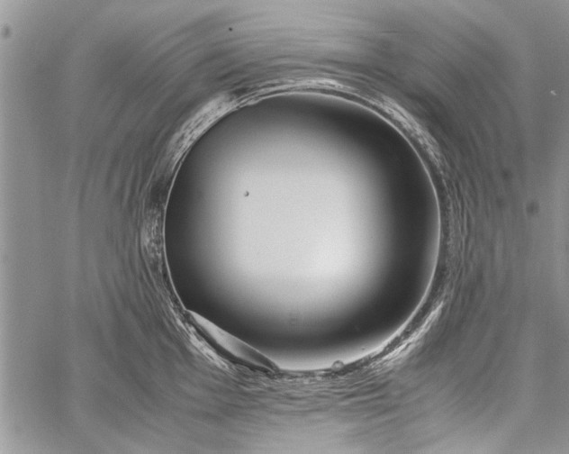 X0000062651001200601040913