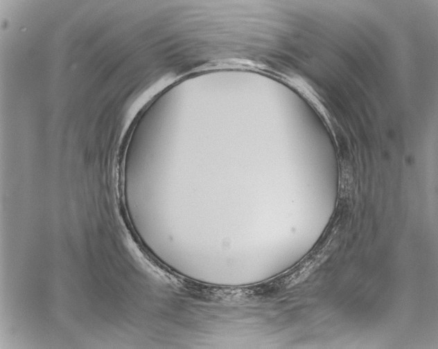 X0000062651003200601040913