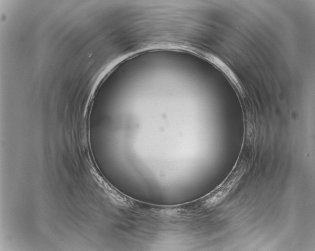 X0000062651004200601040913