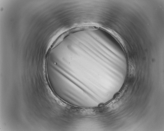 X0000062651006200601040913