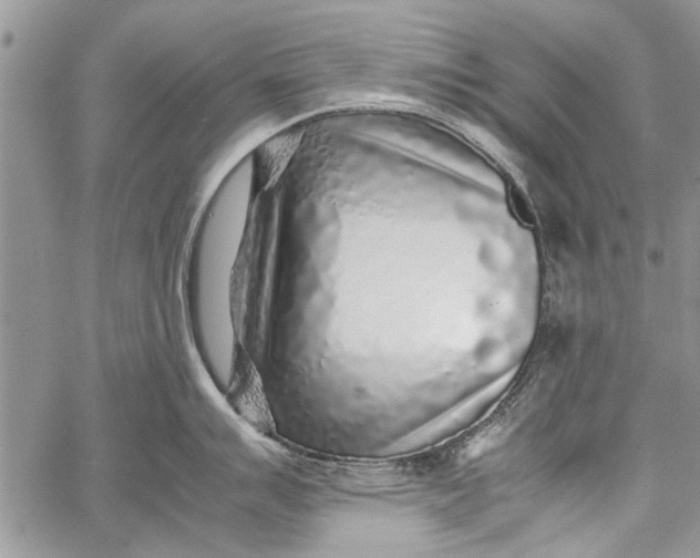 X0000062651007200601040913