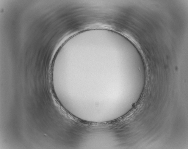 X0000062651008200601040913