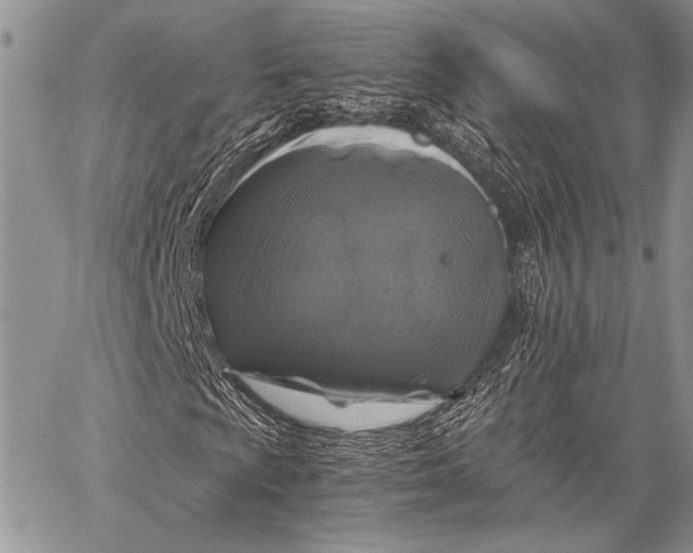 X0000062651009200601040912