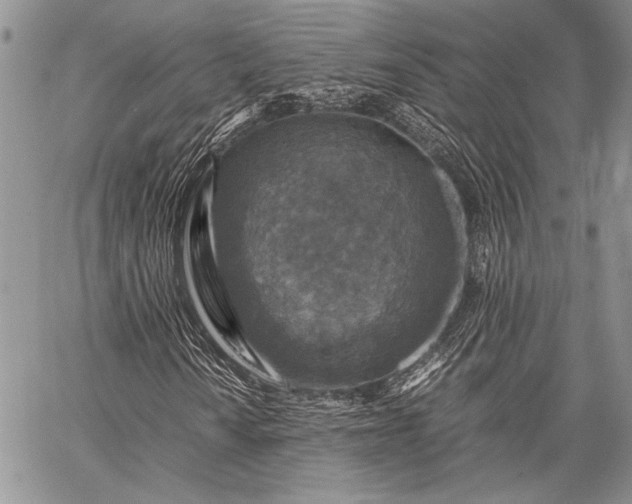 X0000062651010200601040912