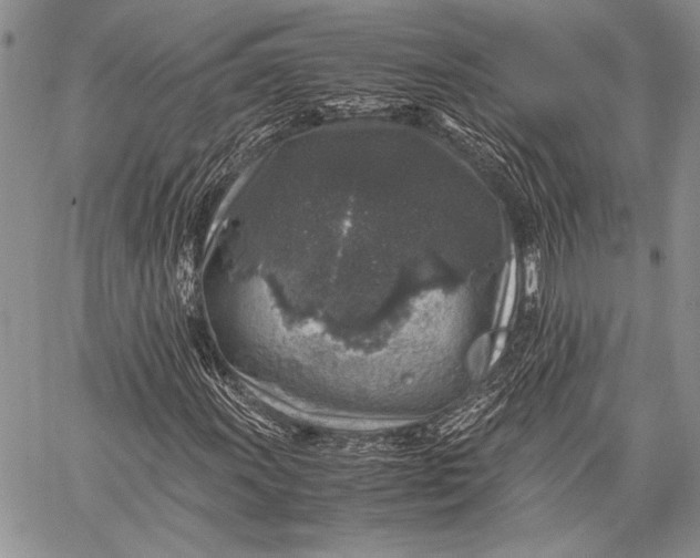 X0000062651011200601040912