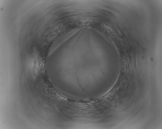 X0000062651013200601040912