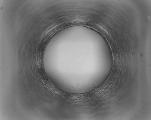 X0000062651015200601040912