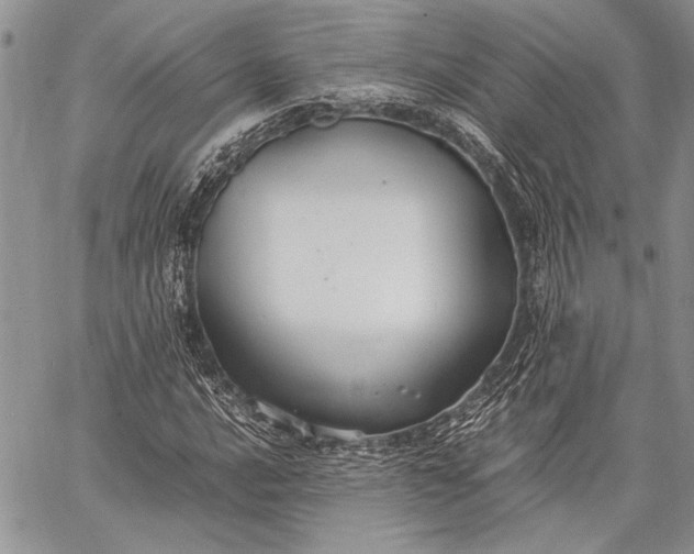 X0000062651016200601040912