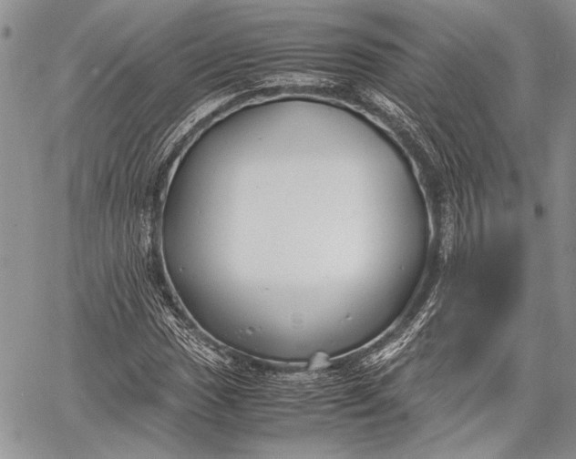 X0000062651017200601040912