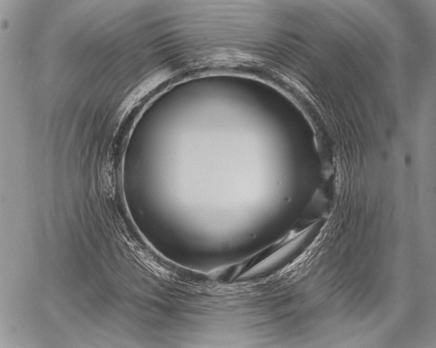 X0000062651018200601040912