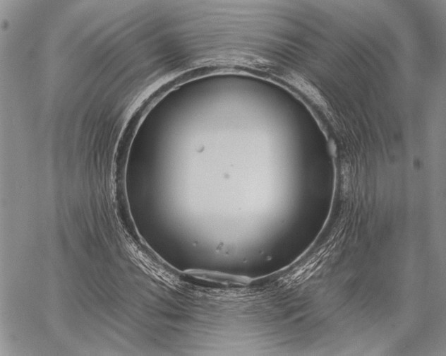 X0000062651020200601040912