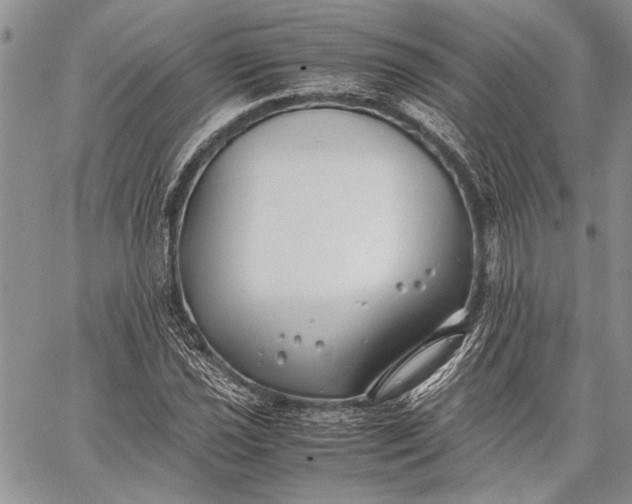 X0000062651021200601040912