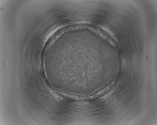 X0000062651023200601040912