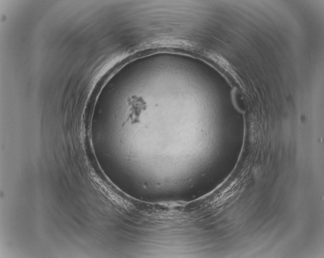 X0000062651024200601040912