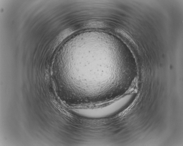 X0000062651025200601040912