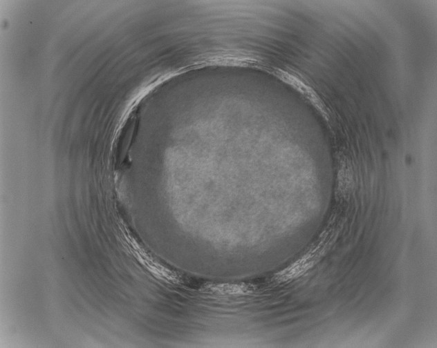 X0000062651027200601040912