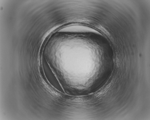 X0000062651028200601040912