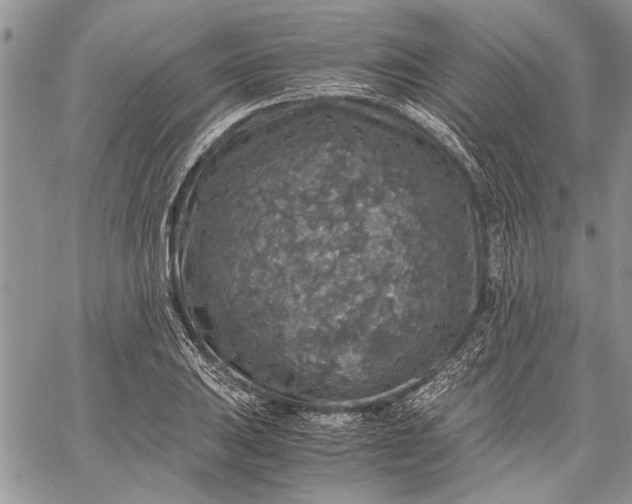 X0000062651031200601040912