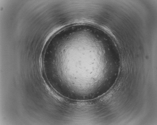 X0000062651032200601040913