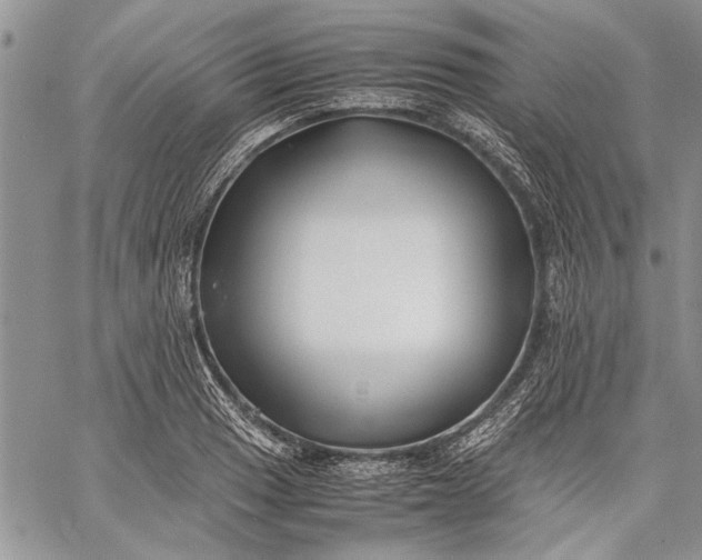 X0000062651033200601040913