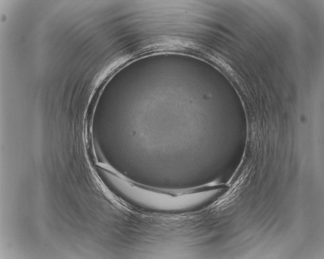 X0000062651034200601040913