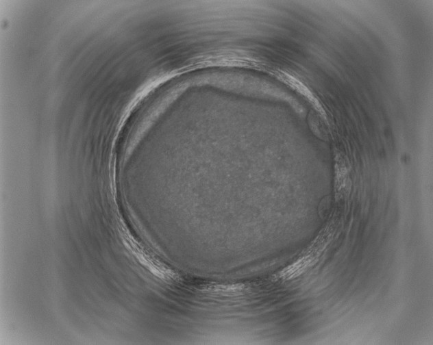 X0000062651035200601040913