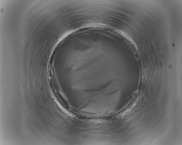 X0000062651037200601040913