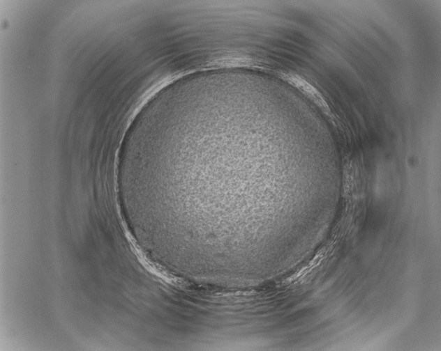 X0000062651039200601040913